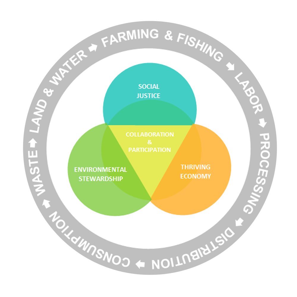 A visual representation of the food system.